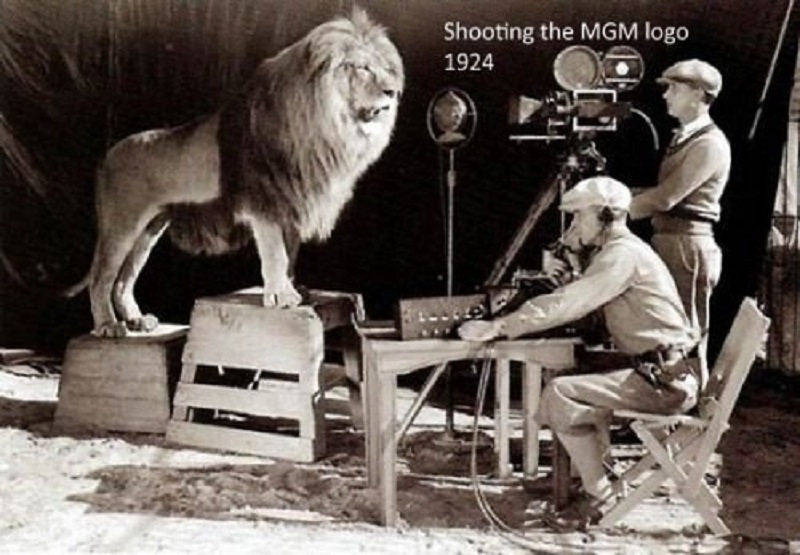 El rodaje de la MGM Lion