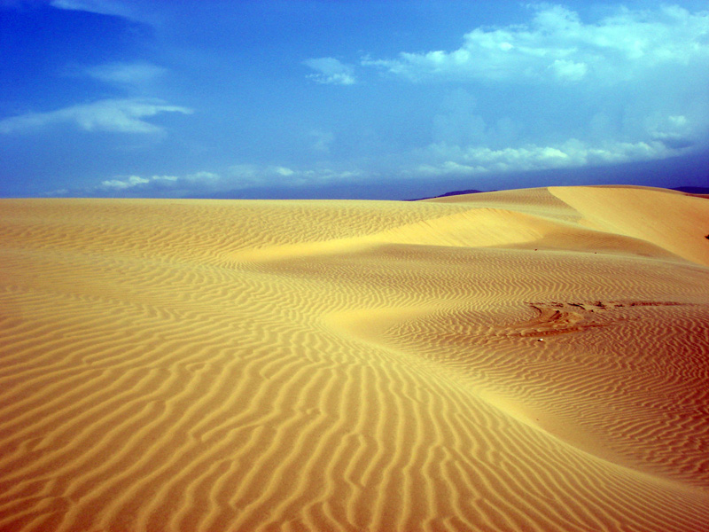 Parque Nacional Los Medanos de Coro