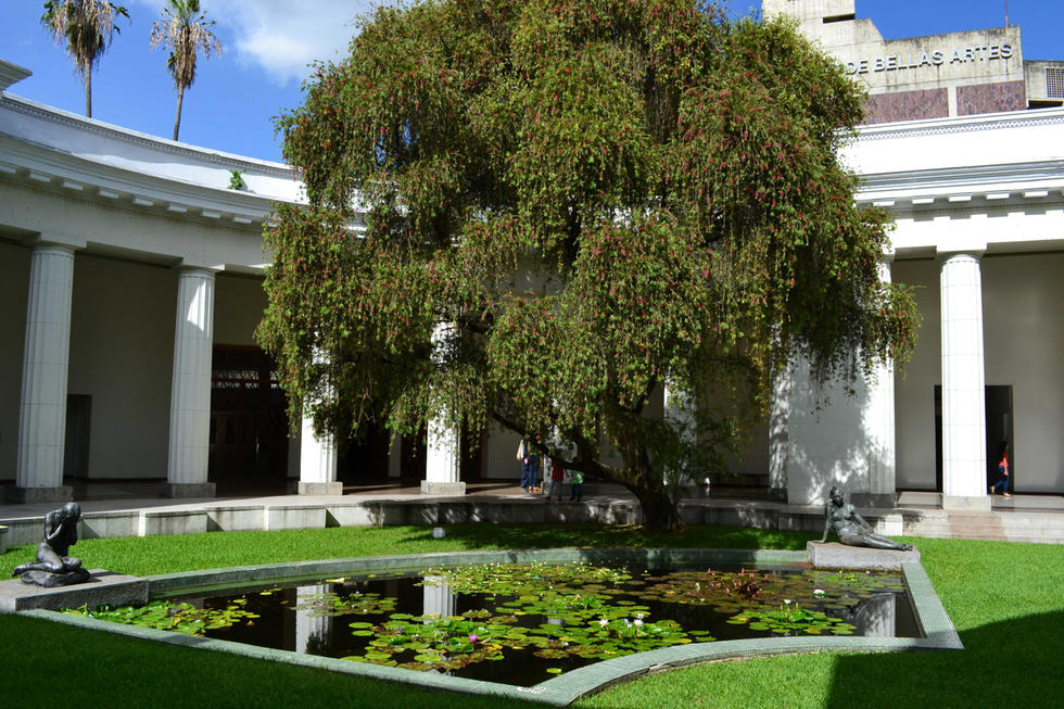 jardin museo ccs