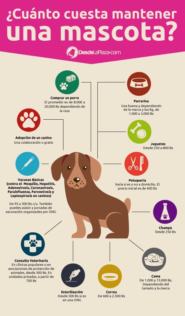 infografía-mascotas1