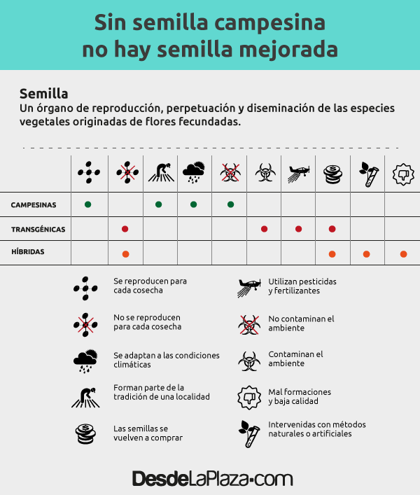 cuadro-semillas