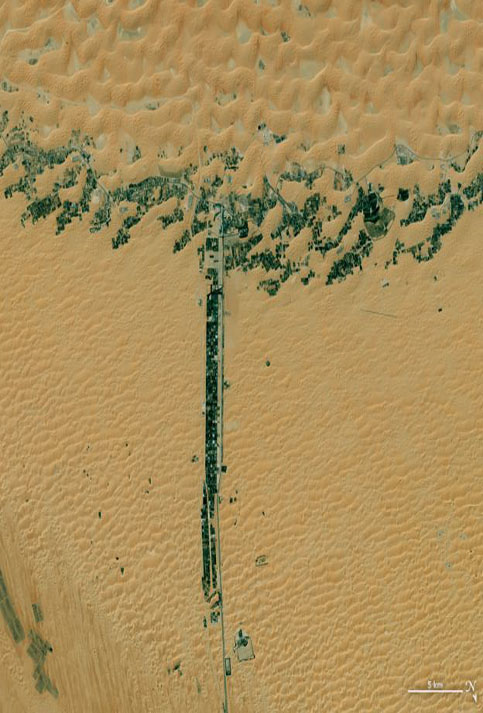 La letra “t” es un producto de la mano del hombre: desarrollos urbanos al costado de dos carreteras en Emiratos Árabes Unidos vistos por el Landsat 8.