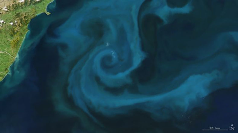 Para la “e”, se encuentra la captura del satélite Aqua, de la NASA. Se trata de un florecimiento de fitoplancton en las costas de Nueva Zelanda.