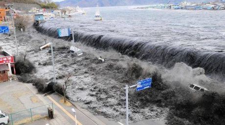 tsunami japoin (3)