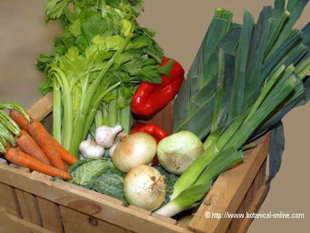 verduras-crudas-mal-lavadas