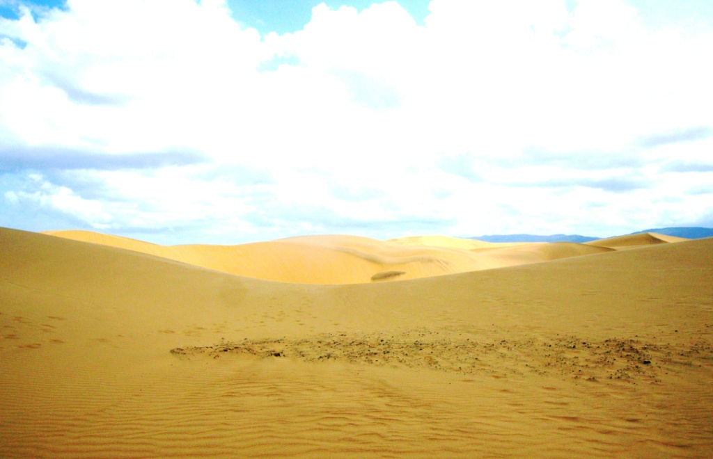 Los Médanos de Coro fueron declarados Parque Nacional debido a su belleza natural y por mantener el concepto de Bioma desértico, además de ser el único desierto de la costa del caribe en estar siempre en movimiento 