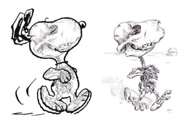 Esqueleto-Snoopy