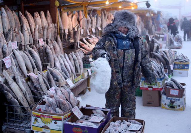 yakuts-carne-pescado-congelado