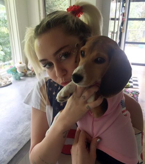 Miley-cyrus-perro