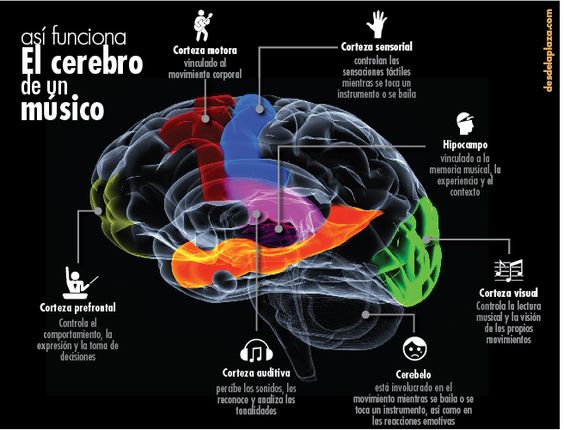 cerebro-musico