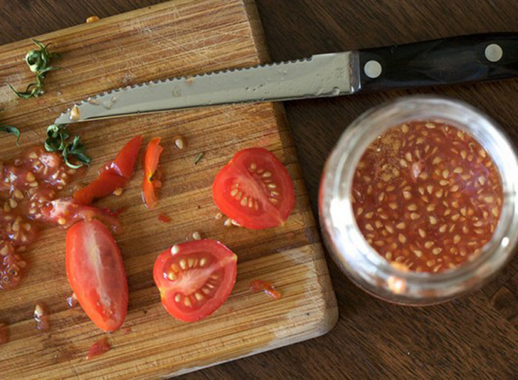 picar-tomates