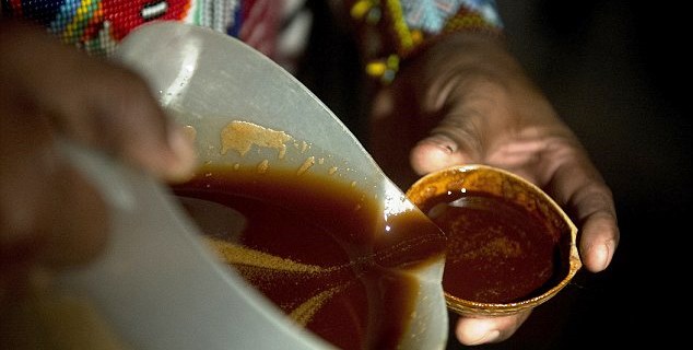 ayahuasca-bebida.jpg