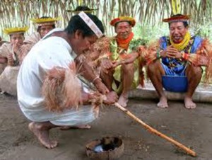 ayahuasca-indigenas