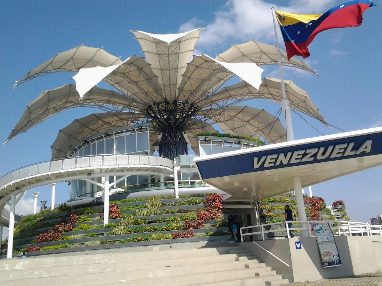 flor-de-venezuela