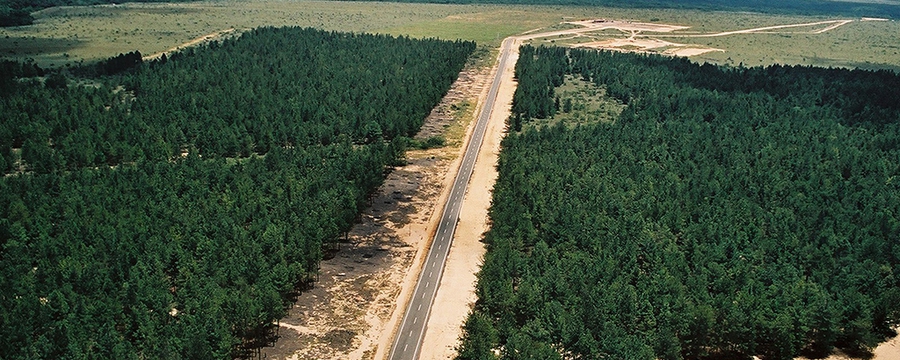 bosque-de-uverito