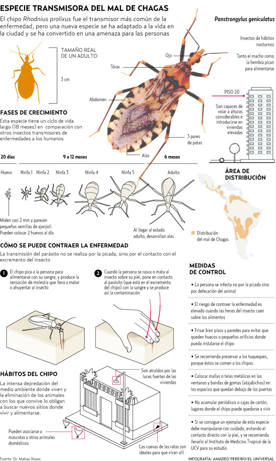 infografia mal de chagas