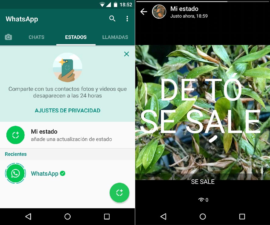 whatsapp-estados