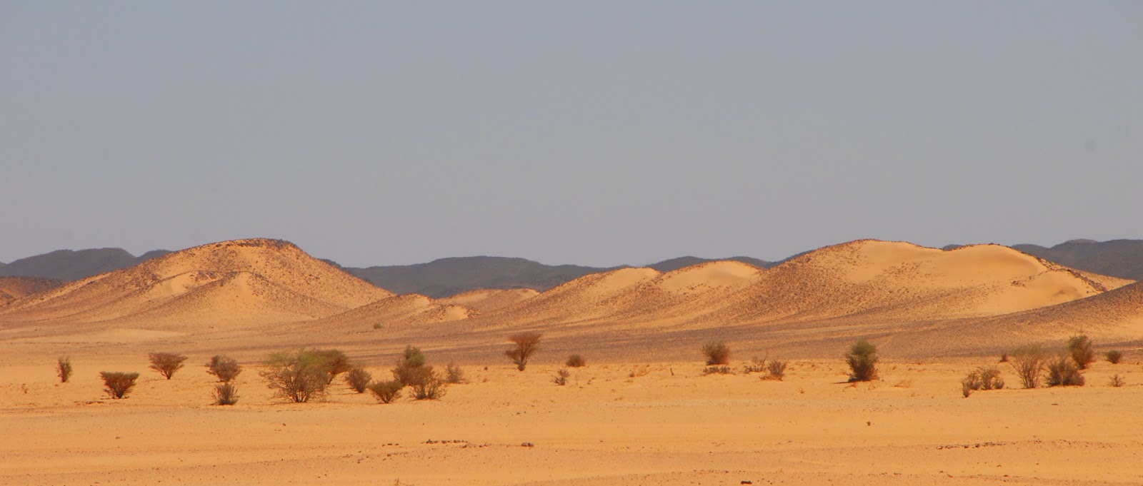 desierto Sudán