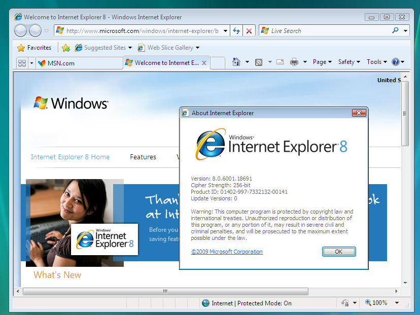 Internet Explorer presenta fallas