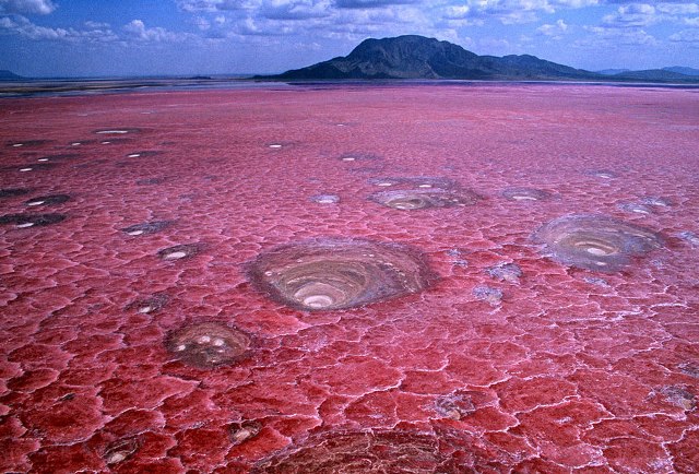 lago natron