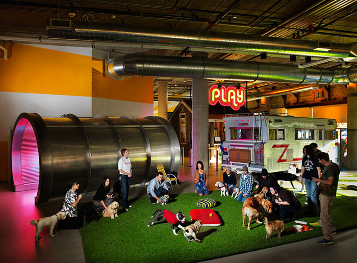 oficinas_creativas_zynga