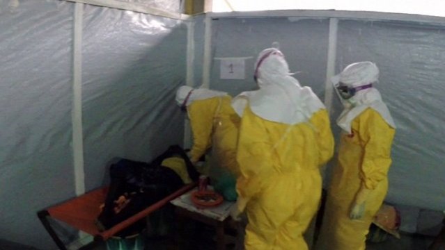 Ébola: Científicos luchan contra el virus