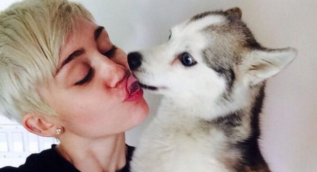 Miley Cyrus con su perro Floyd