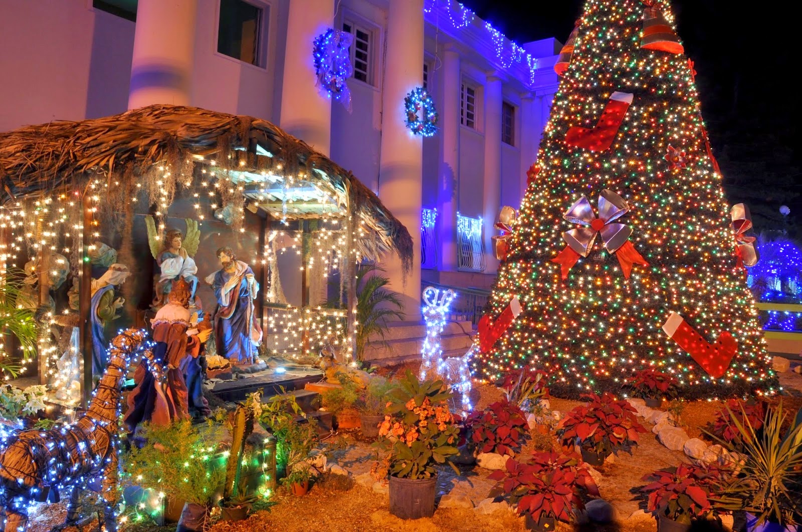 Tips para colocar el nacimiento y el árbol de navidad Tips para colocar el nacimiento y el árbol de navidad