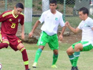 Vinotinto