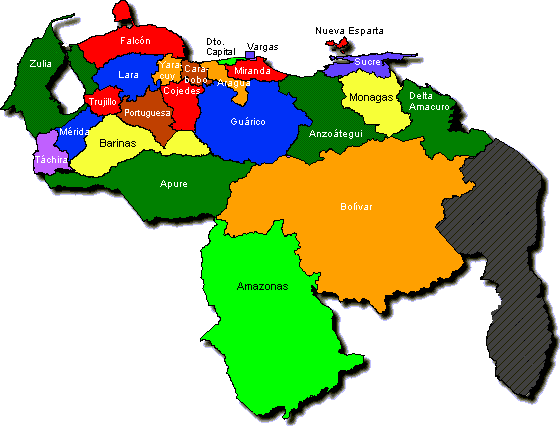 Consejos Legislativos y Municipales